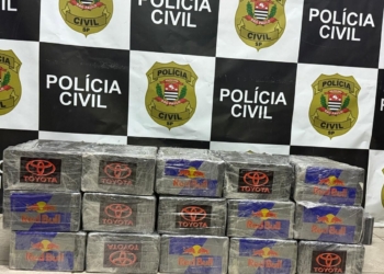 Polícia apreende 241 kg de cocaína e prende homem por tráfico em rodovia da região