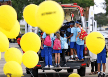 Artigo: Dê passagem para poder seguir em paz – por Carlos Luiz Souza