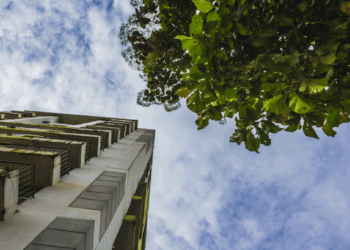 Artigo – O futuro da arborização: como superar os desafios das cidades verticalizadas? – por Gisele Herbst Vazquez