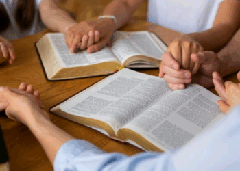 Artigo: O questionateu – II – por Joaquim Z. Motta