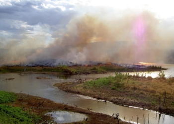 A distância entre povo e representação – por José Pedro Martins