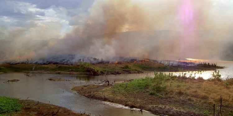 A distância entre povo e representação – por José Pedro Martins