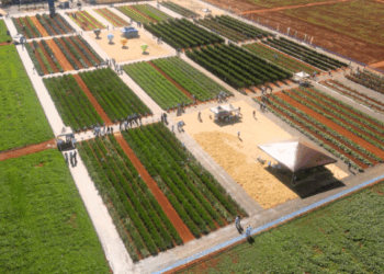 Inovação e experiência a campo marcam 19ª edição do Open Field Day