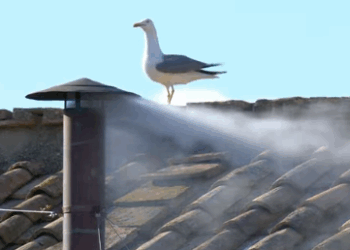 Habemus papam: Eleito o 267° pontífice da história e sucessor de Francisco