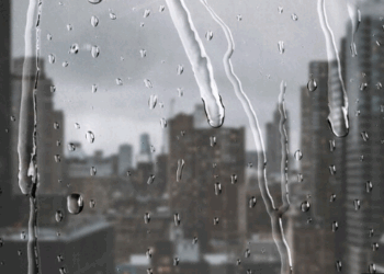 Só o dono da casa sabe onde ficam as goteiras – por Thiago Pontes