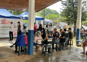 Hortolândia abre inscrições para mutirão de castração gratuita de animais de estimação