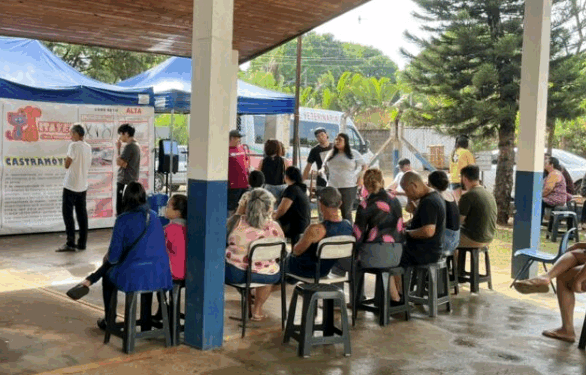 Hortolândia abre inscrições para mutirão de castração gratuita de animais de estimação