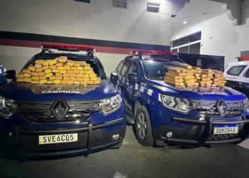 GM apreende 112kg de maconha em casa desocupada no Jardim Lisa