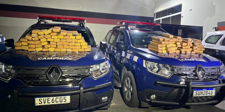 GM apreende 112kg de maconha em casa desocupada no Jardim Lisa