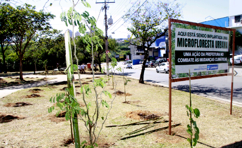 Microflorestas: implantação avança em Campinas com 8º projeto na Prestes Maia