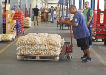 Ceasa registra queda de até 18% no preço de alimentos como cenoura, beterraba e ovos