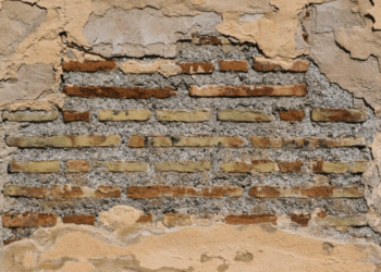 Artigo: Ciência não se faz com muros – por Francisco Nascimento