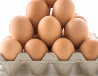 Ovos de granja com caso de gripe aviária estão rastreados, diz Ministério da Agricultura