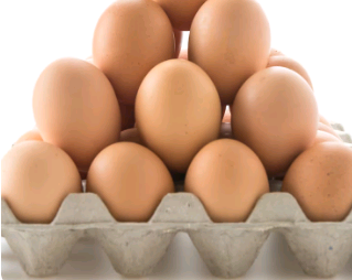 Ovos de granja com caso de gripe aviária estão rastreados, diz Ministério da Agricultura