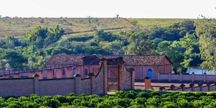 Mulher esquartejada achada em lagoa de haras foi atropelada; autor ocultou corpo