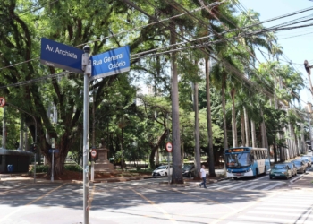 Poda de árvore de grande porte interdita ruas no entorno da praça Carlos Gomes