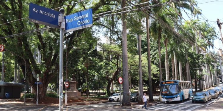 Poda de árvore de grande porte interdita ruas no entorno da praça Carlos Gomes