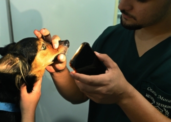 Prefeitura convoca candidatos cotistas do concurso com cargos da Saúde e Geral