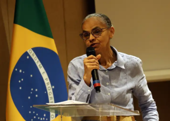 Dia do Meio Ambiente amargo em 2025 – por  José Pedro Martins