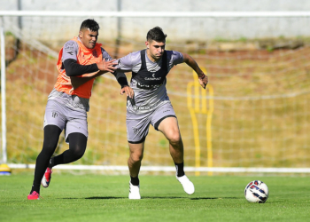 Ponte recebe o Ypiranga nesta segunda pela Série C para voltar a vencer em casa