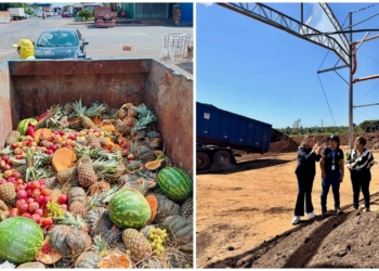 Ceasa Campinas amplia em 45% a destinação de resíduos orgânicos para compostagem