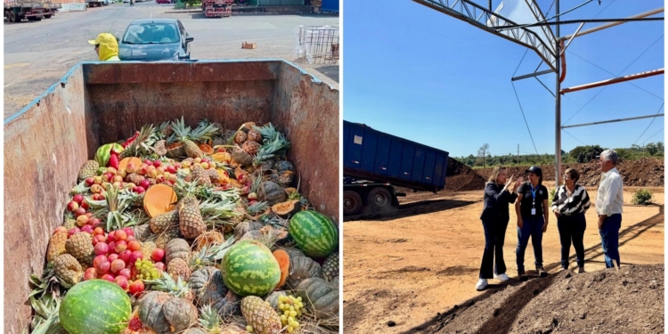 Ceasa Campinas amplia em 45% a destinação de resíduos orgânicos para compostagem
