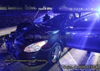 Anhanguera: rodovia tem atropelamento fatal e morte com tampa de bueiro