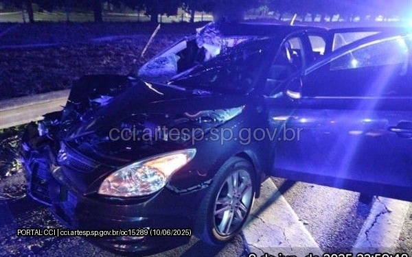 Anhanguera: rodovia tem atropelamento fatal e morte com tampa de bueiro