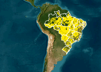 Artigo: Regularização ambiental de imóveis rurais e o papel do CAR na segurança jurídica do negócio – por Vinicius Laender e Cecília Viveiros