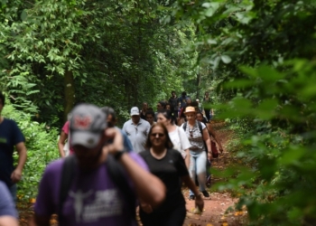 Mata de Santa Genebra abre inscrições para a Trilha do Folclore nesta segunda