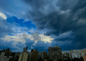 Mudanças climáticas: Campinas conquista nota A- na plataforma internacional CDP Cities