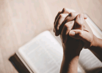 Artigo: Pare de agir como um soldado solitário em um campo minado – por Eduardo Reis