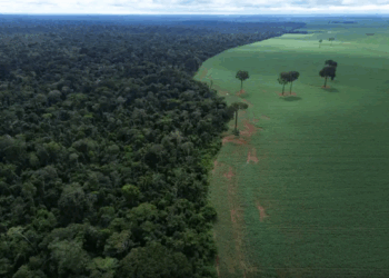 Um novo sinal de alerta para o Brasil na COP-30 – por José Pedro Martins