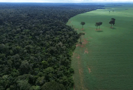 Um novo sinal de alerta para o Brasil na COP-30 – por José Pedro Martins