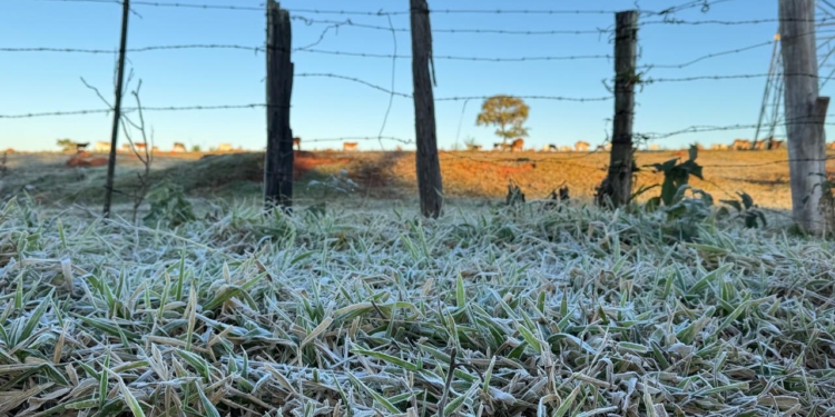 Com 4°C nesta madrugada, Campinas registra a temperatura mais baixa em 4 anos
