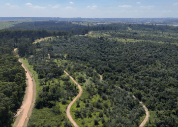 Campo de Provas da GM em Indaiatuba abre suas portas ao público para evento inédito