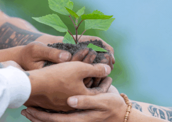 Defensor do planeta, compromisso inadiável – por Luis Norberto Pascoal