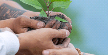 Defensor do planeta, compromisso inadiável – por Luis Norberto Pascoal