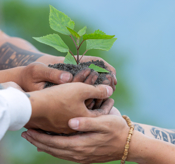 Defensor do planeta, compromisso inadiável – por Luis Norberto Pascoal