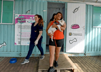 Região da Vila Boa Vista recebe Consultório Veterinário Móvel na próxima segunda