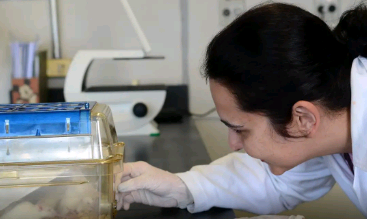 Tecidos feitos em laboratório podem aperfeiçoar testes de medicamentos