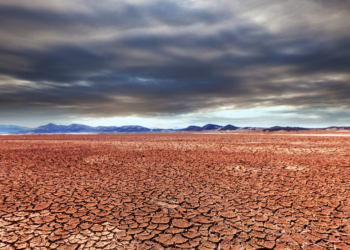A Copa do Mundo da destruição – por José Pedro Martins