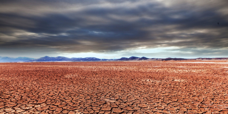 A Copa do Mundo da destruição – por José Pedro Martins