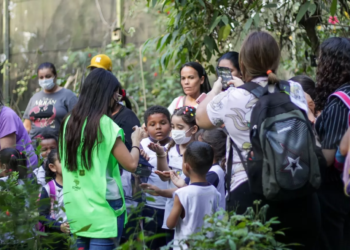 Mata Santa Genebra abre nesta quarta o agendamento para visitas monitoradas
