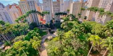 Campinas me fez quem sou – por Luis Norberto Pascoal