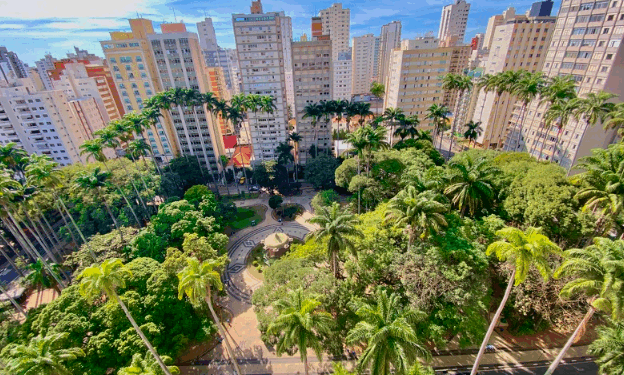 Campinas me fez quem sou – por Luis Norberto Pascoal