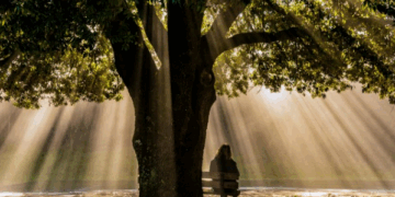 Ser ou Ter, eis a questão – por Luis Norberto Pascoal