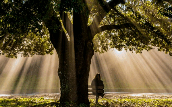 Ser ou Ter, eis a questão – por Luis Norberto Pascoal