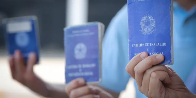 Veja como navegar pelo Trampolim, plataforma para quem busca e oferece empregos em SP