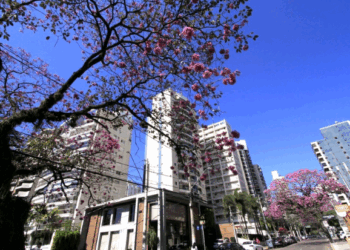 Campinas, a cada dia, se faz mais minha – por Kátia Camargo